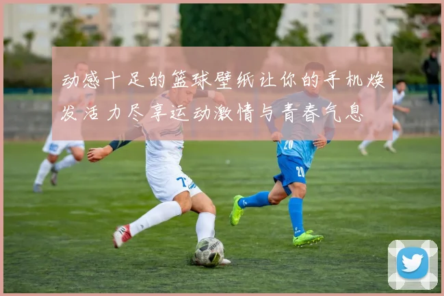 动感十足的篮球壁纸让你的手机焕发活力尽享运动激情与青春气息