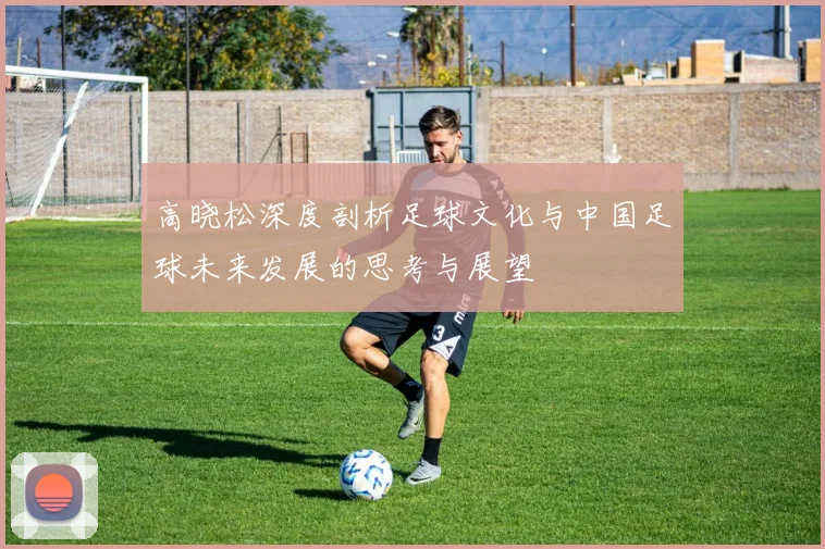 高晓松深度剖析足球文化与中国足球未来发展的思考与展望