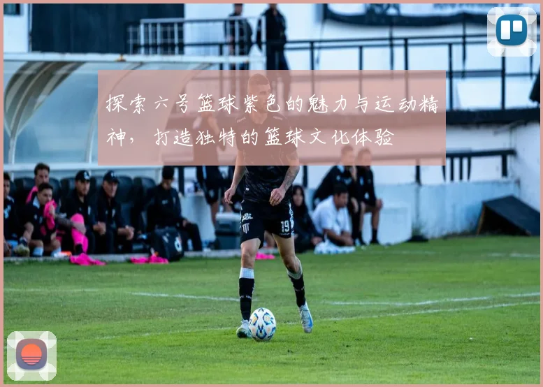 探索六号篮球紫色的魅力与运动精神，打造独特的篮球文化体验