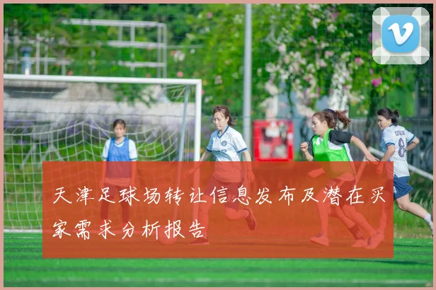 天津足球场转让信息发布及潜在买家需求分析报告